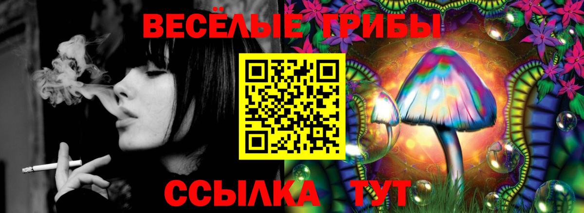 Апатиты  Псилоцибиновые грибы Psilocybe  Вход с VPN 